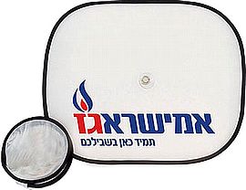 וילון לרכב