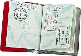 כיסוי לדרכון