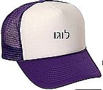 כובעי רשת סגול