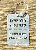 מחזיק מפתחות דיסקית